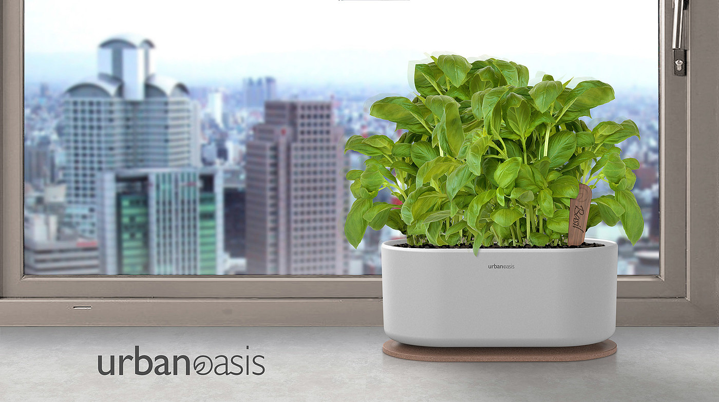 Gardening tools，natural，Urban Oasis ，Indoor planting，Household products，