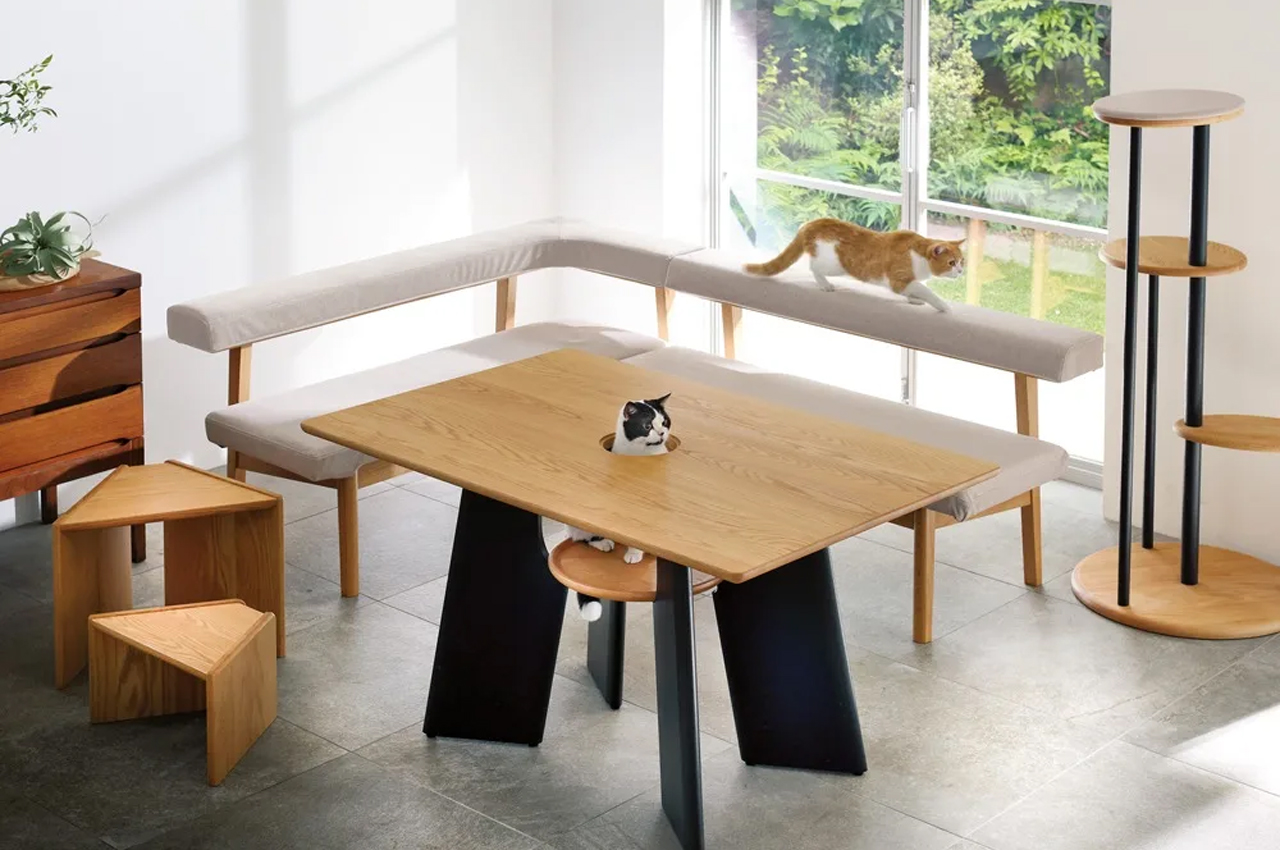 Tell us，Home design，Table，