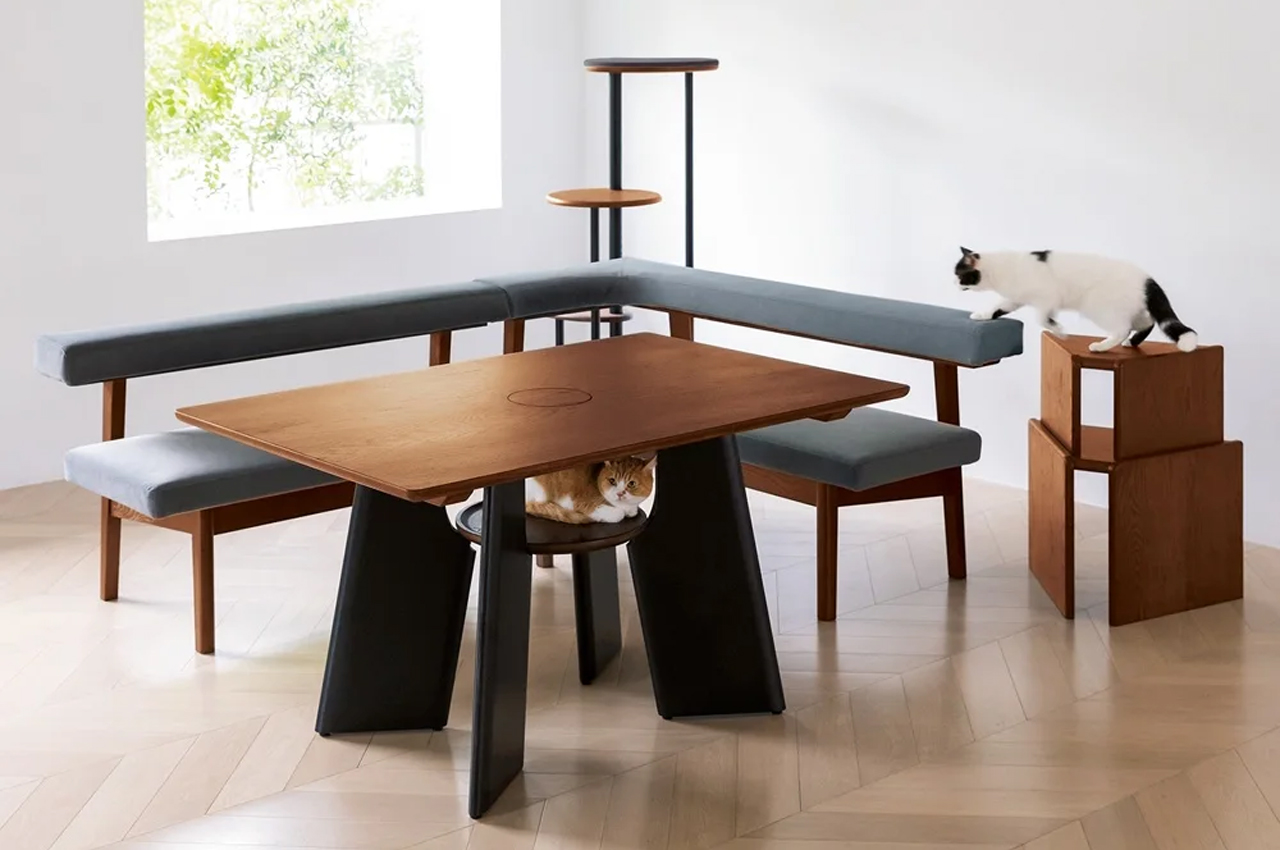 Tell us，Home design，Table，