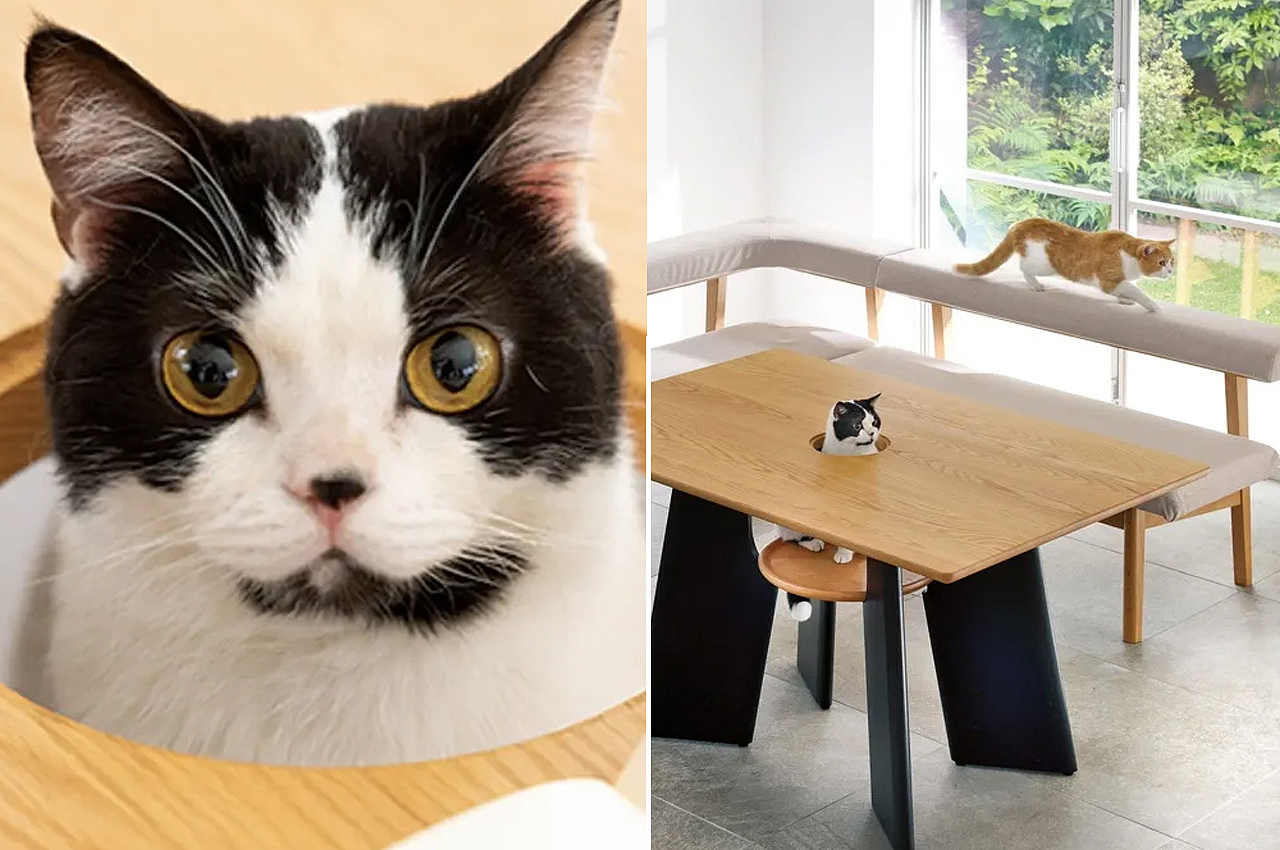 Tell us，Home design，Table，