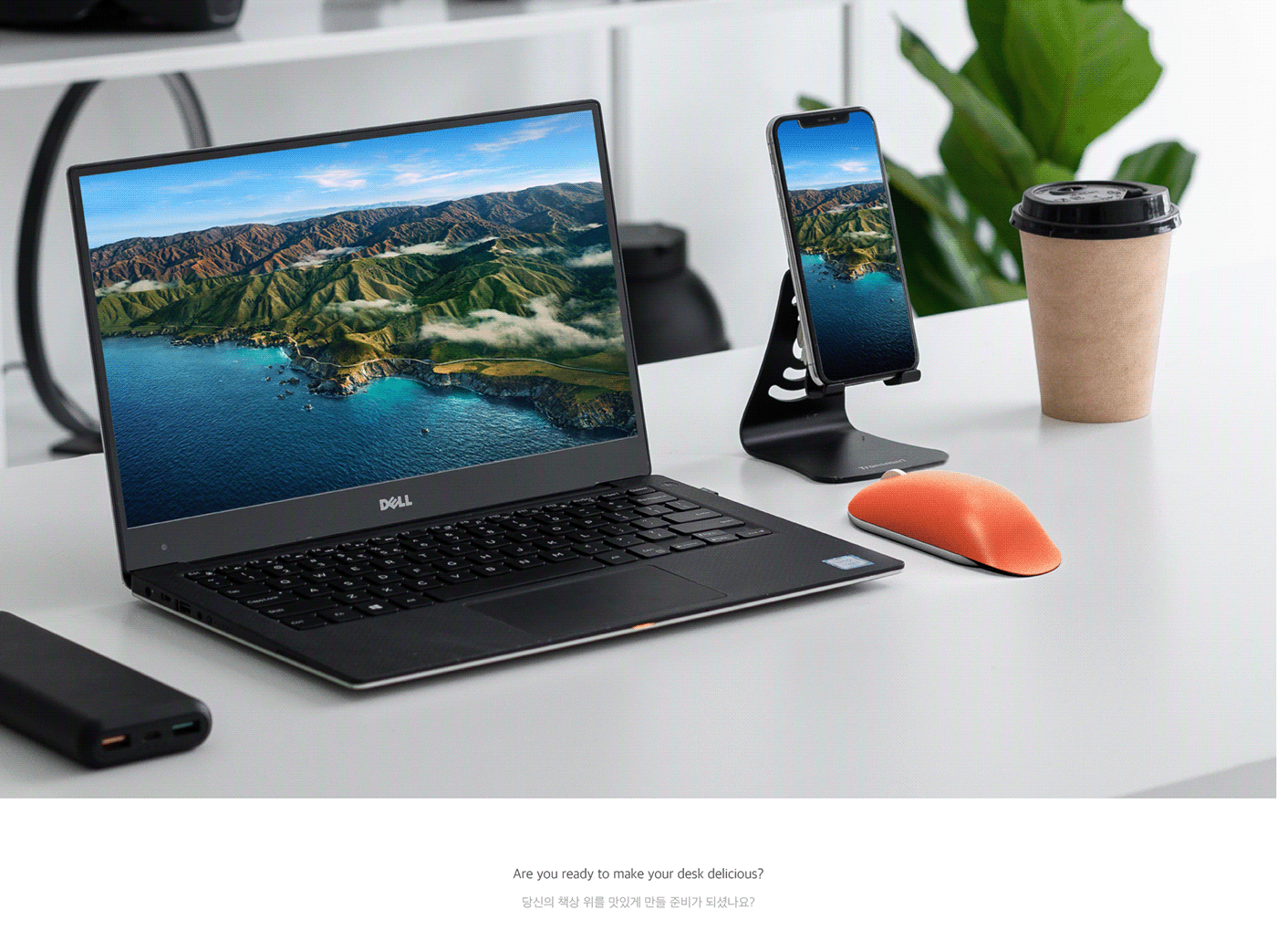 mouse，Sushi，Customized，New experience，