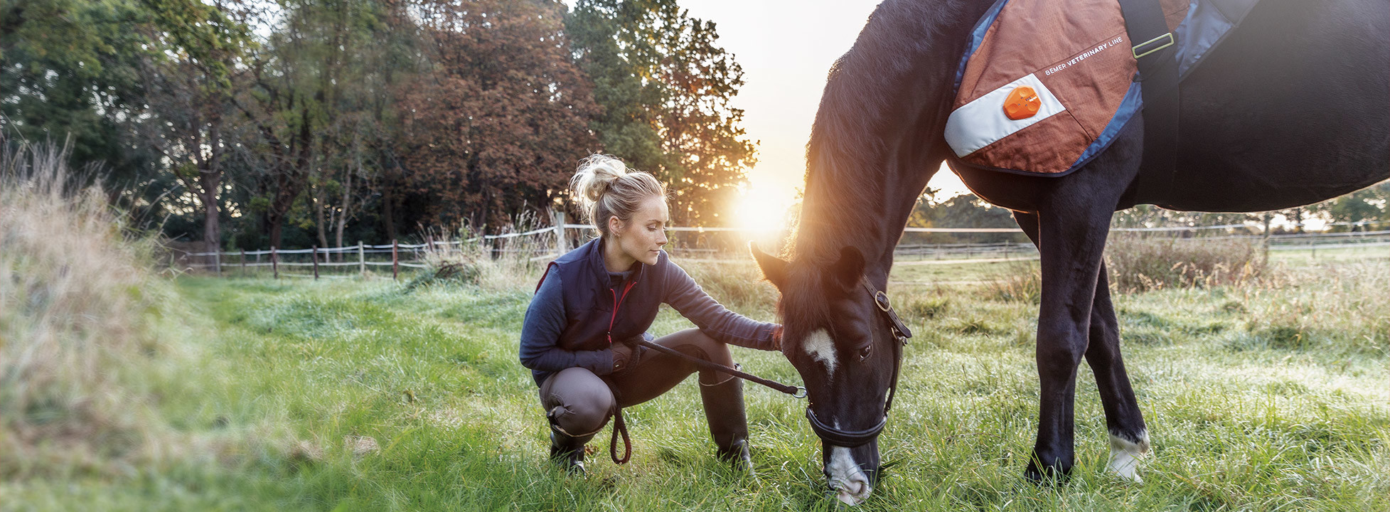 2017 red dot，BETTER VET，Horse protector，