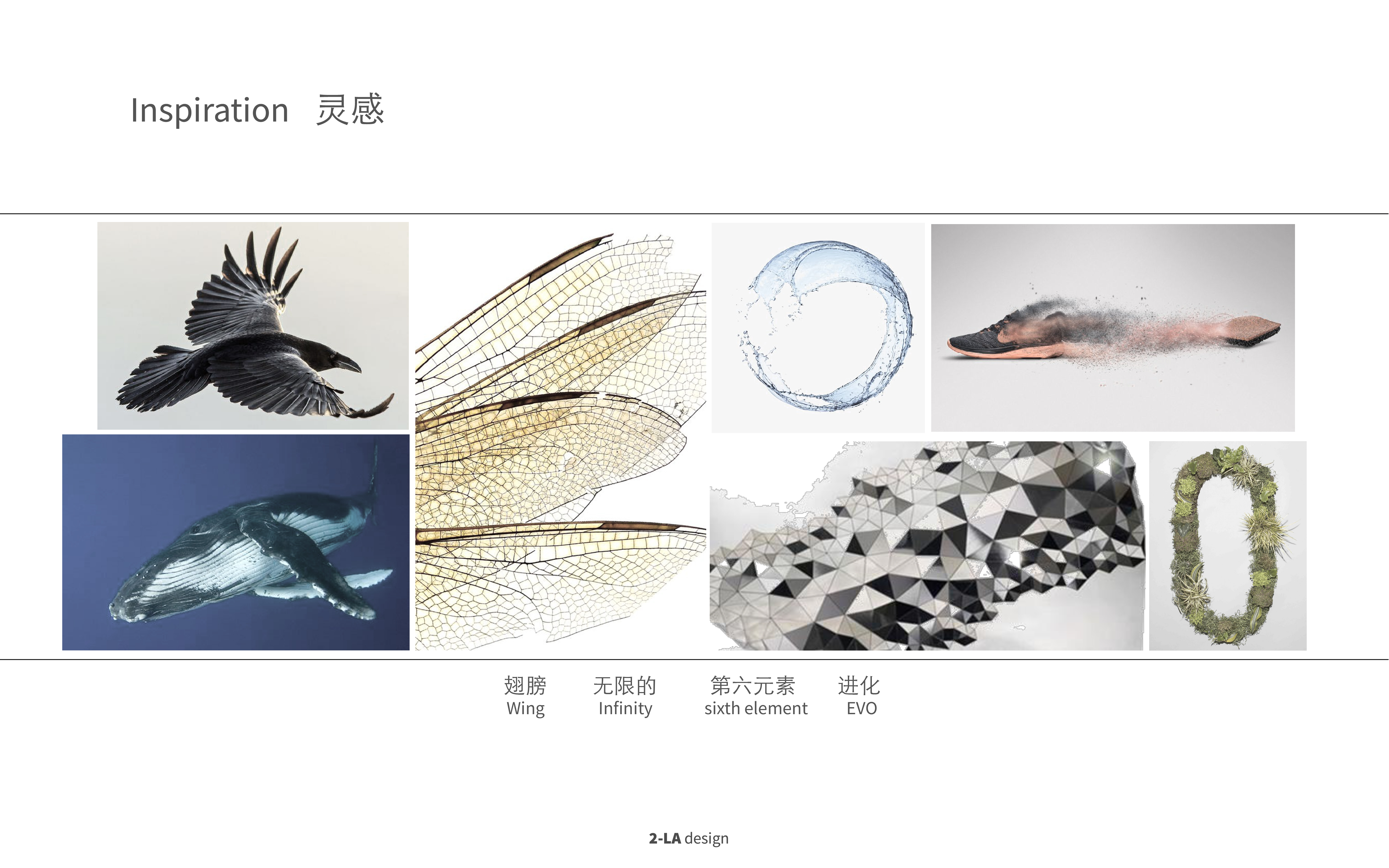 environment protection，sneakers，sustainable development，concept，