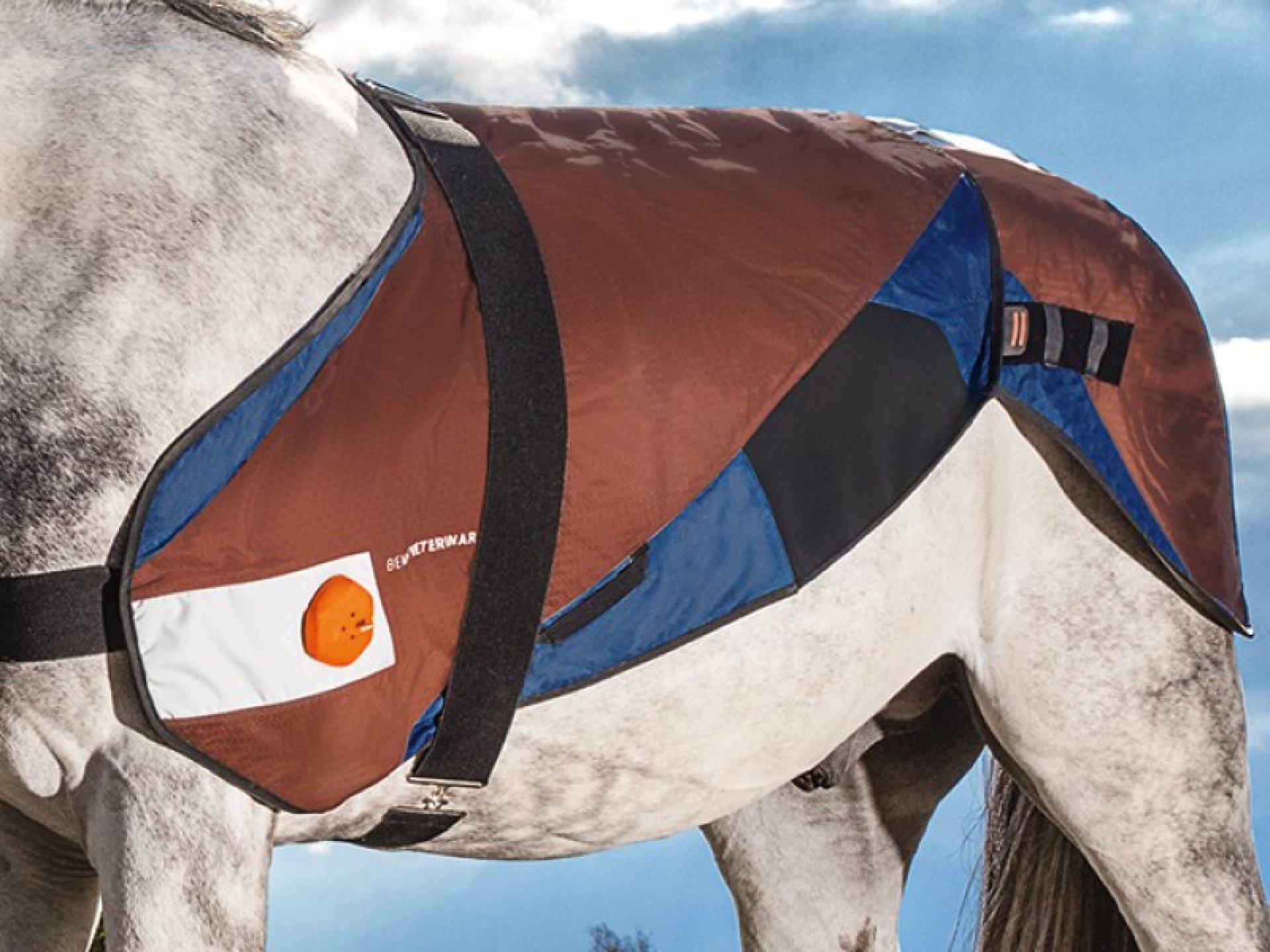 2017 red dot，BETTER VET，Horse protector，