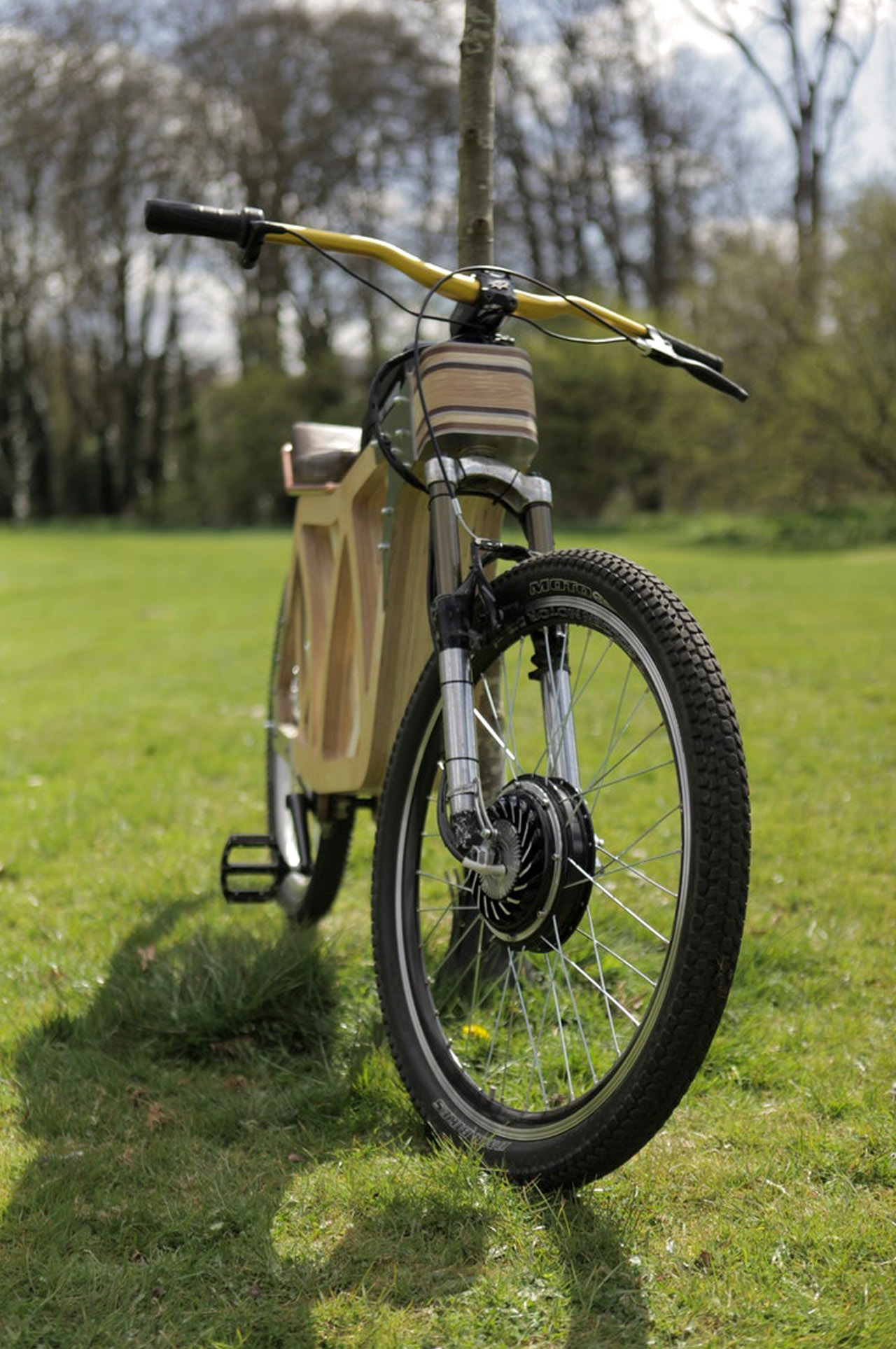 Bicycle，Electric，wooden ，unique，