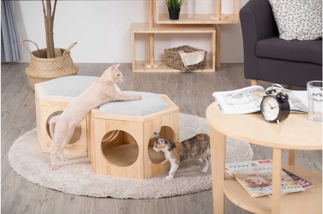 cat，Cat house，Cat toys，modern，Simplicity，