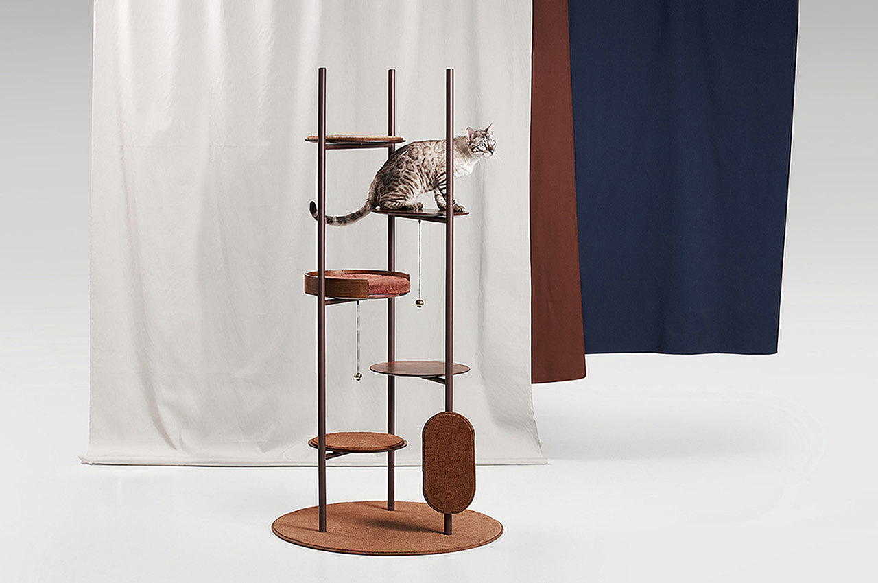 cat，Cat house，Cat toys，modern，Simplicity，