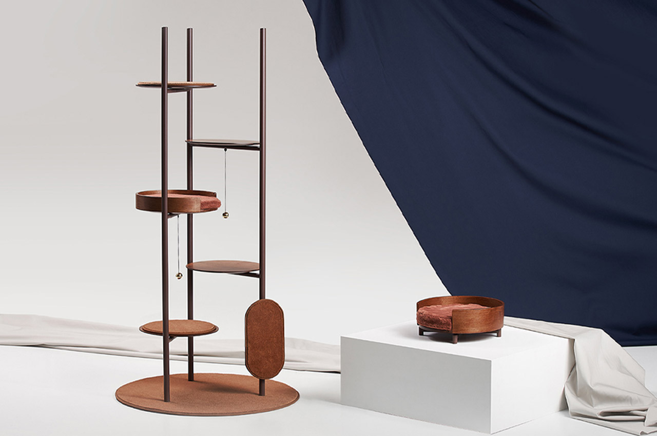 cat，Cat house，Cat toys，modern，Simplicity，