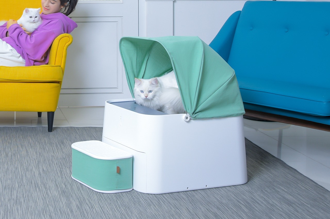 cat，Cat house，Cat toys，modern，Simplicity，