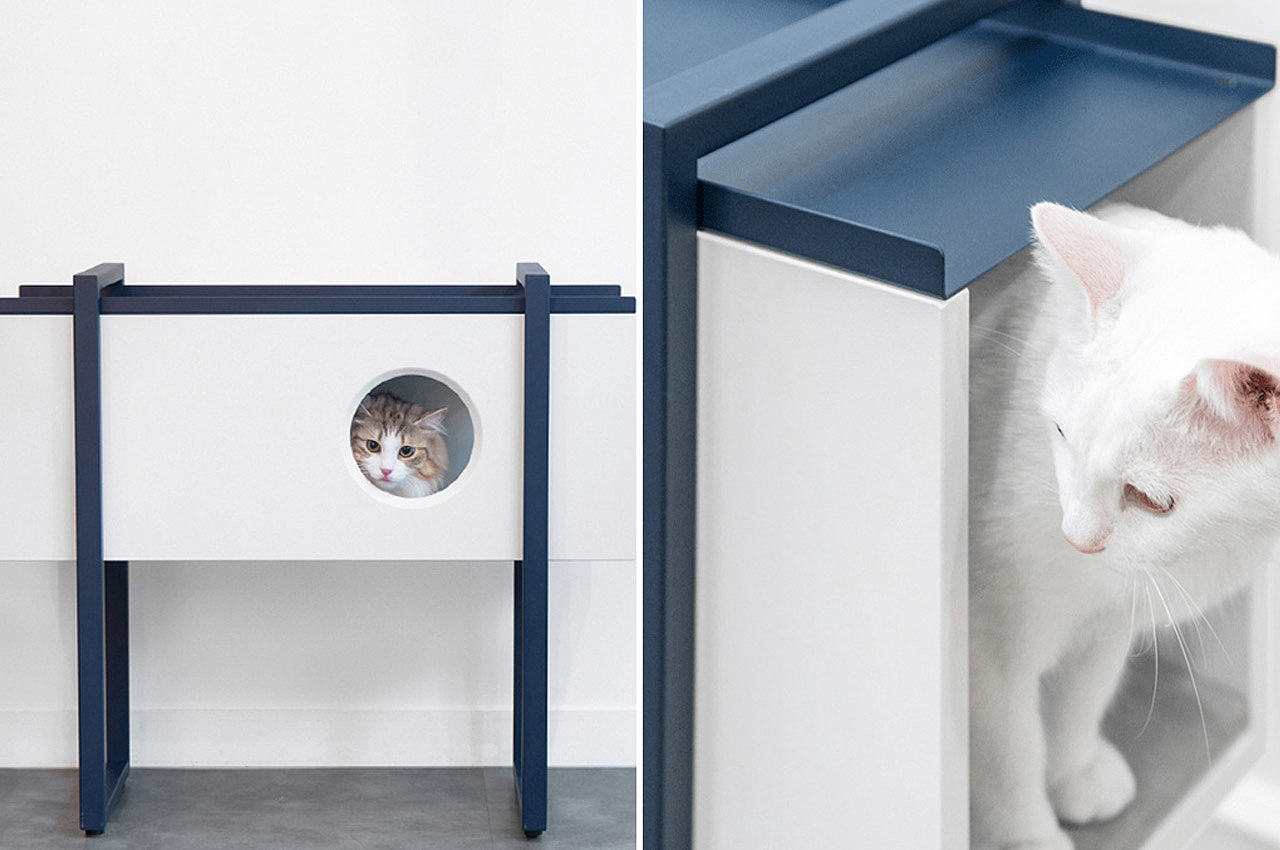 cat，Cat house，Cat toys，modern，Simplicity，