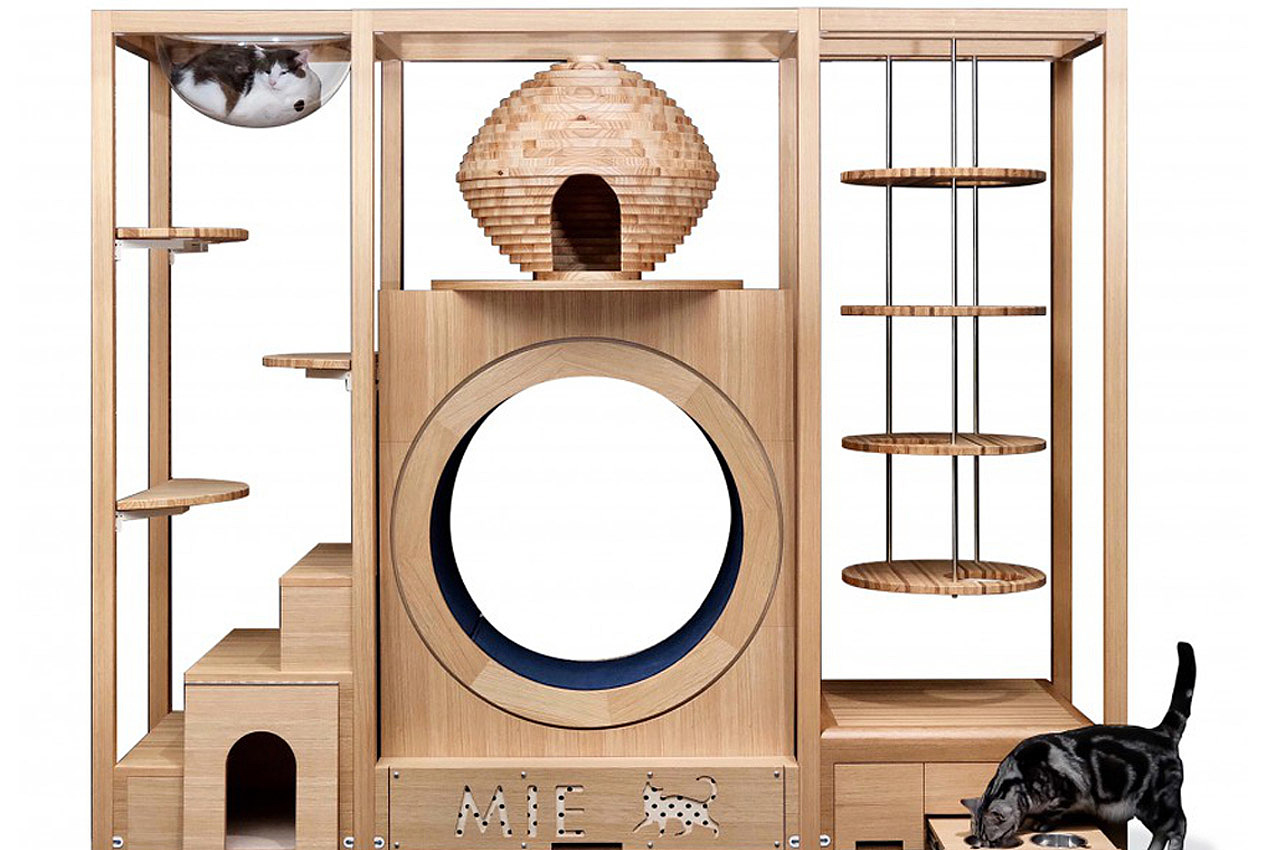 cat，Cat house，Cat toys，modern，Simplicity，