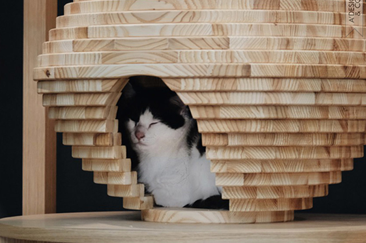 cat，Cat house，Cat toys，modern，Simplicity，