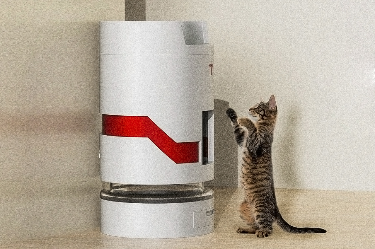 cat，Cat house，Cat toys，modern，Simplicity，