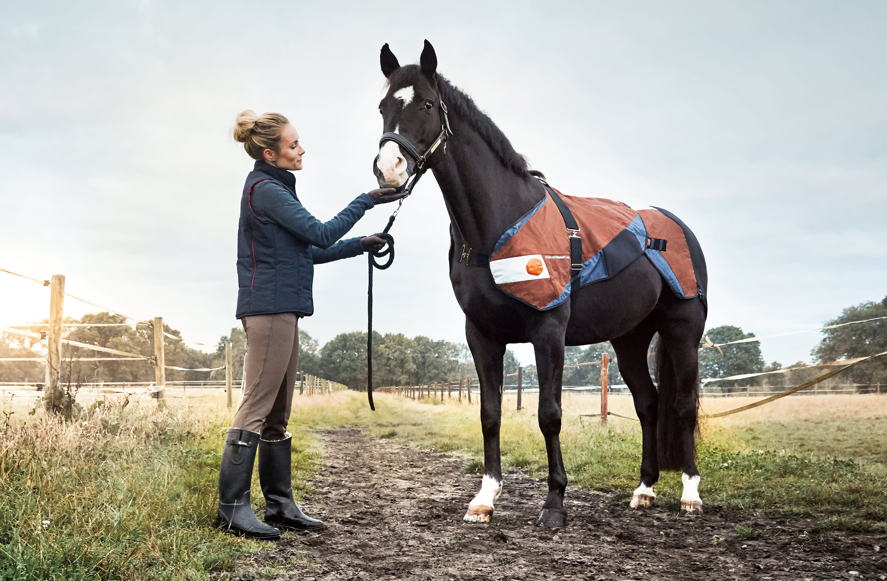 2017 red dot，BETTER VET，Horse protector，