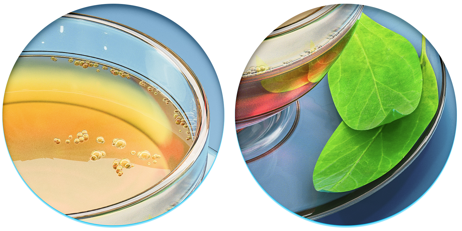 modeling，Render，texture，ps，mode，Food food，