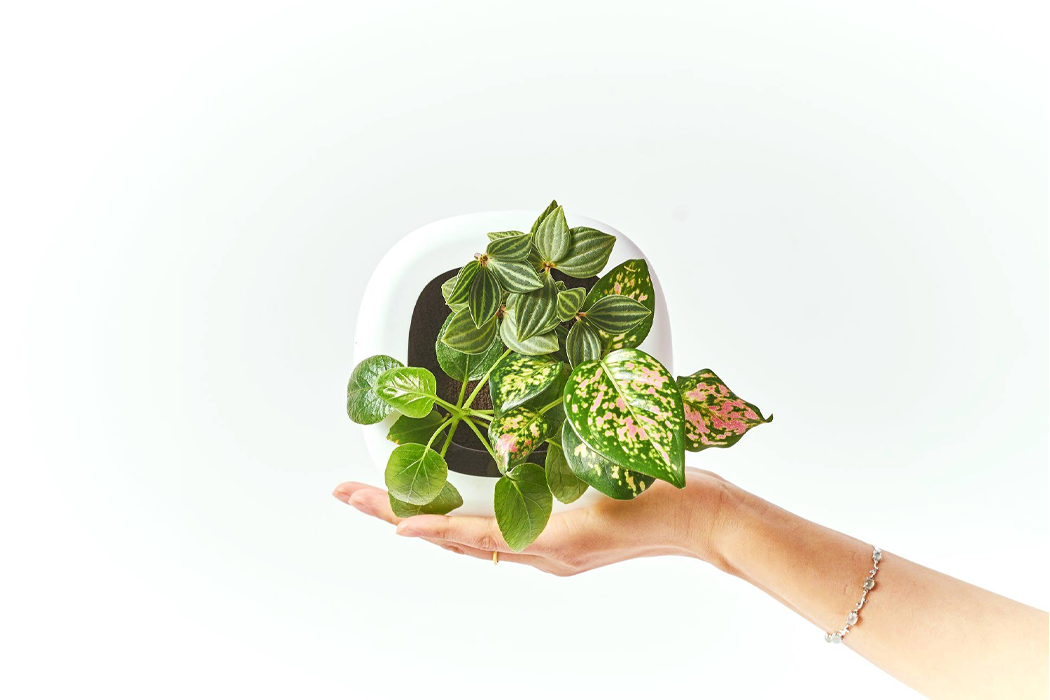 Click，Modular design，Storage design，