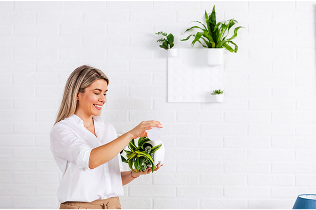 Click，Modular design，Storage design，