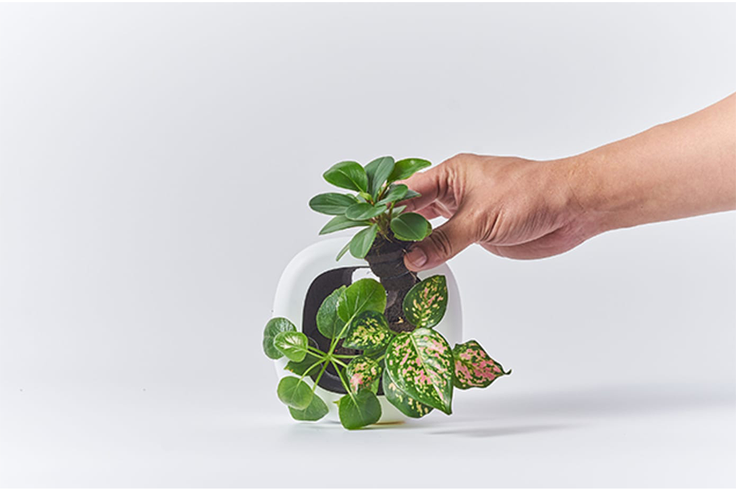 Click，Modular design，Storage design，