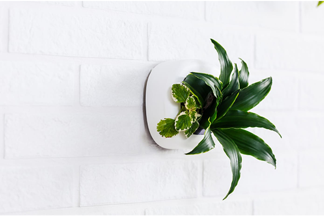 Click，Modular design，Storage design，