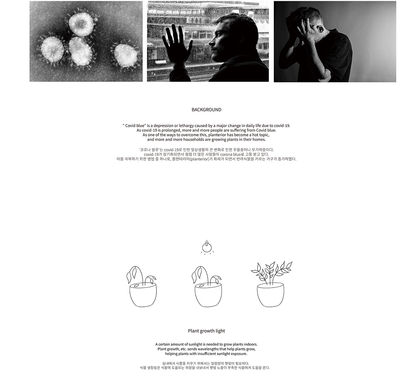 Botany，Interior decoration，Intelligent detection，