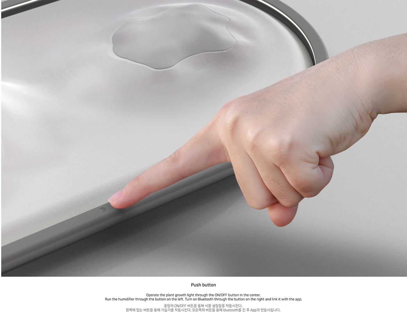 Botany，Interior decoration，Intelligent detection，