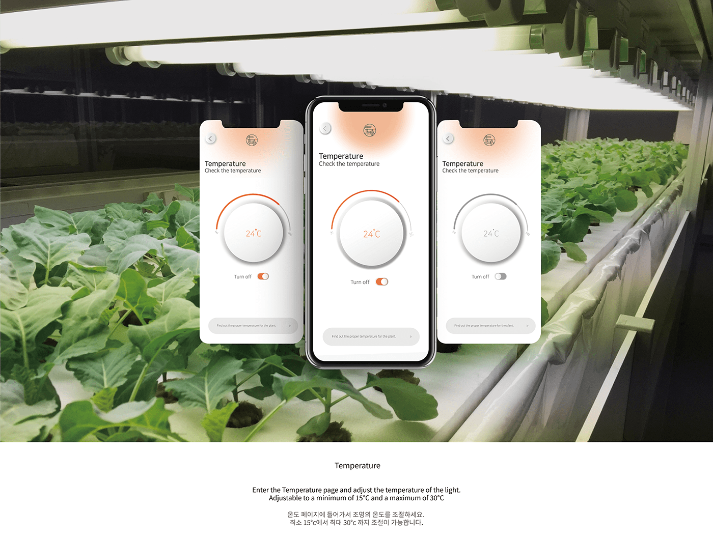 Botany，Interior decoration，Intelligent detection，