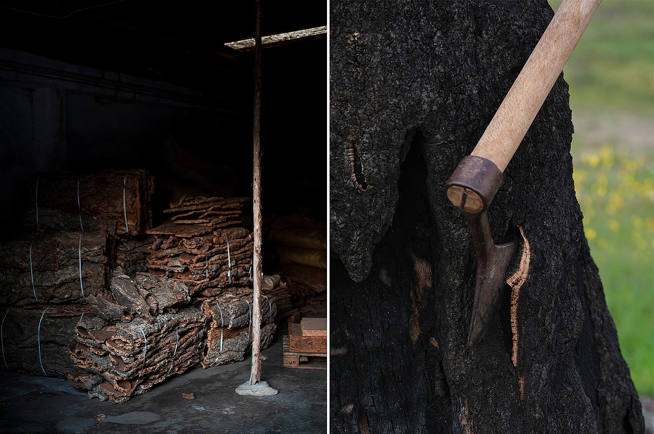 Burnt Cork，furniture design ，Green design，