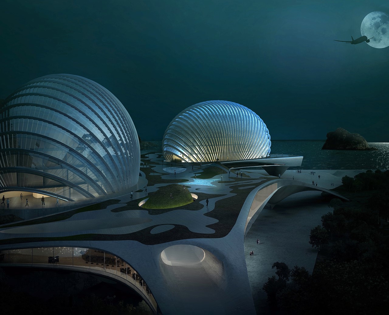 Nudibranch，shell，A' Design Award，hotel，