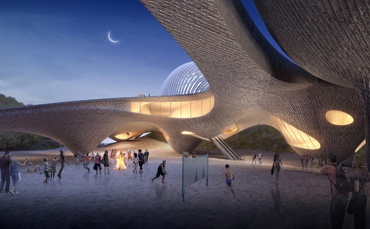 Nudibranch，shell，A' Design Award，hotel，