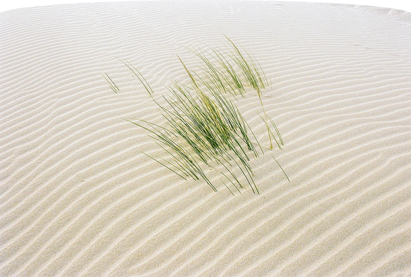 routine，Intelligent mobile phone，wireless charger ，