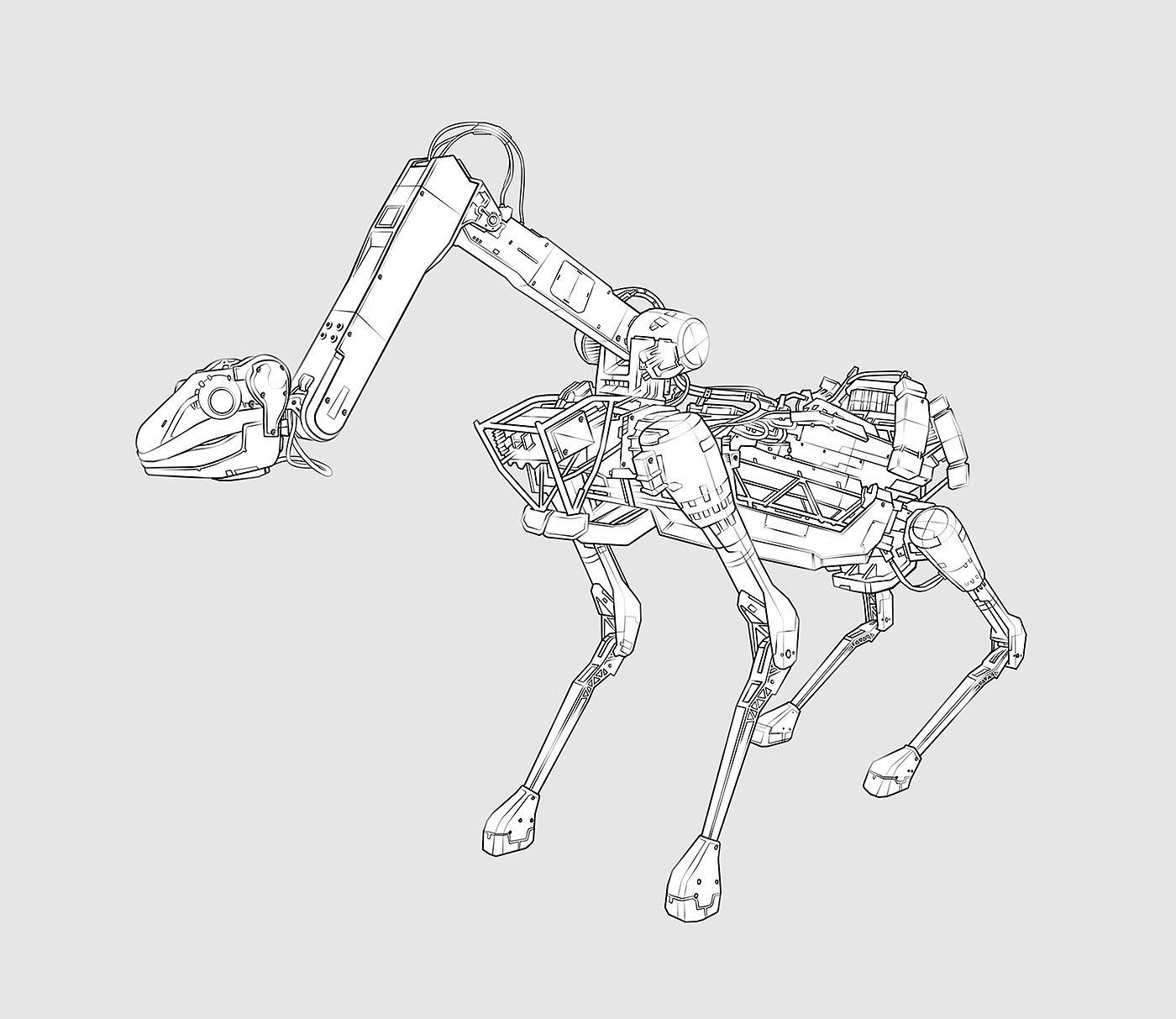 sketch，illustration，careful，