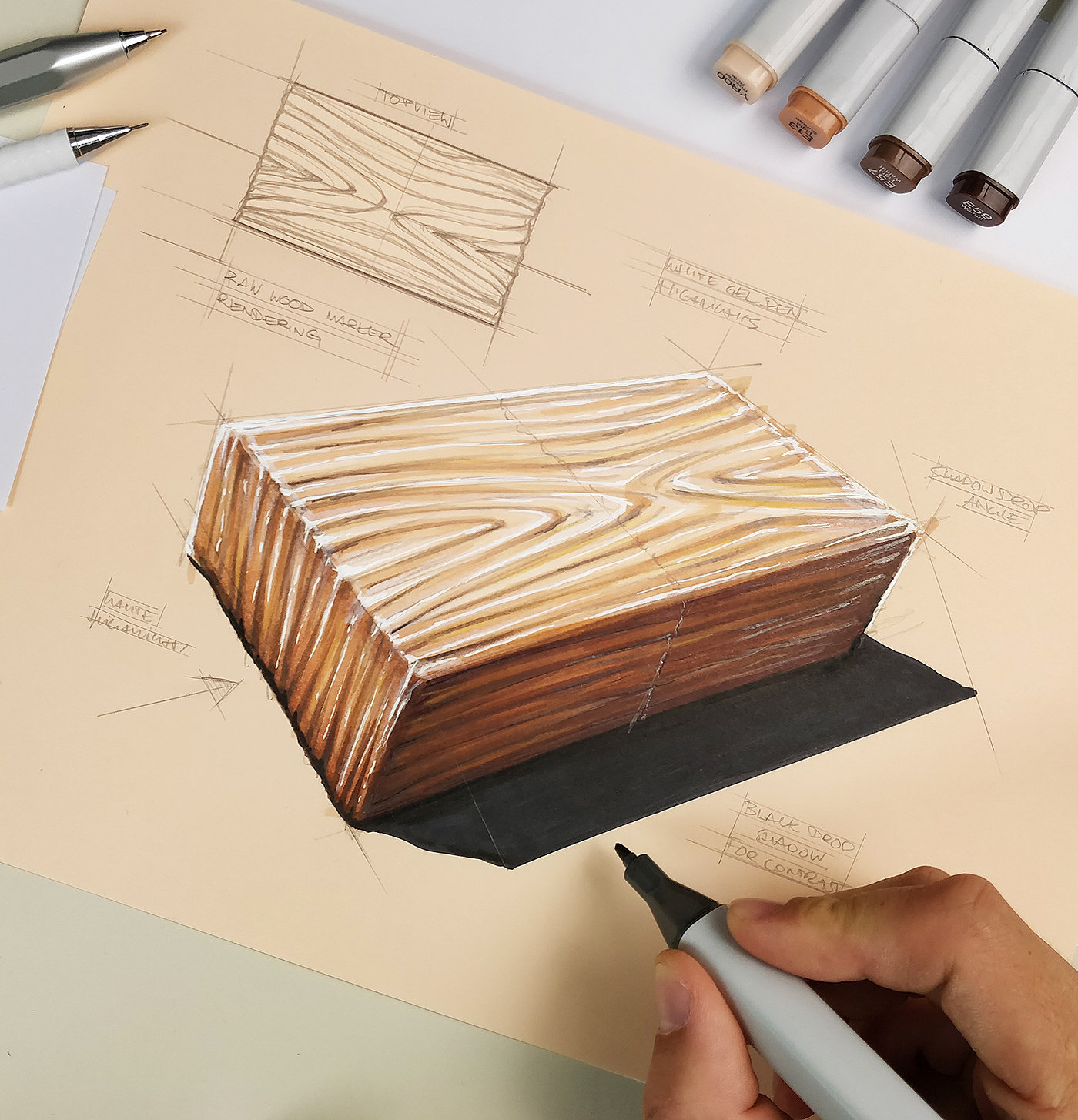 sketch，illustration，careful，