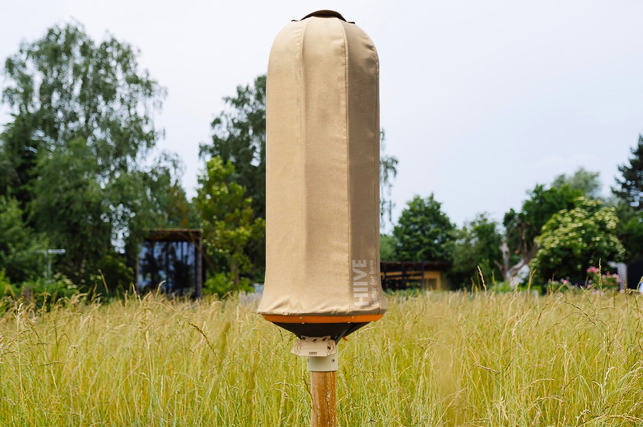 Sustainable hive design，Green design，Sustainable design，