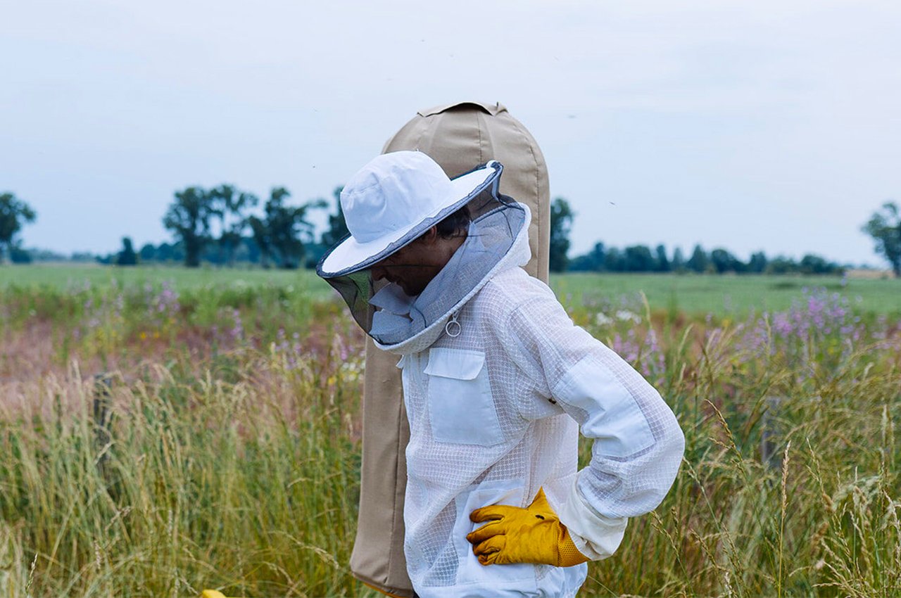 Sustainable hive design，Green design，Sustainable design，