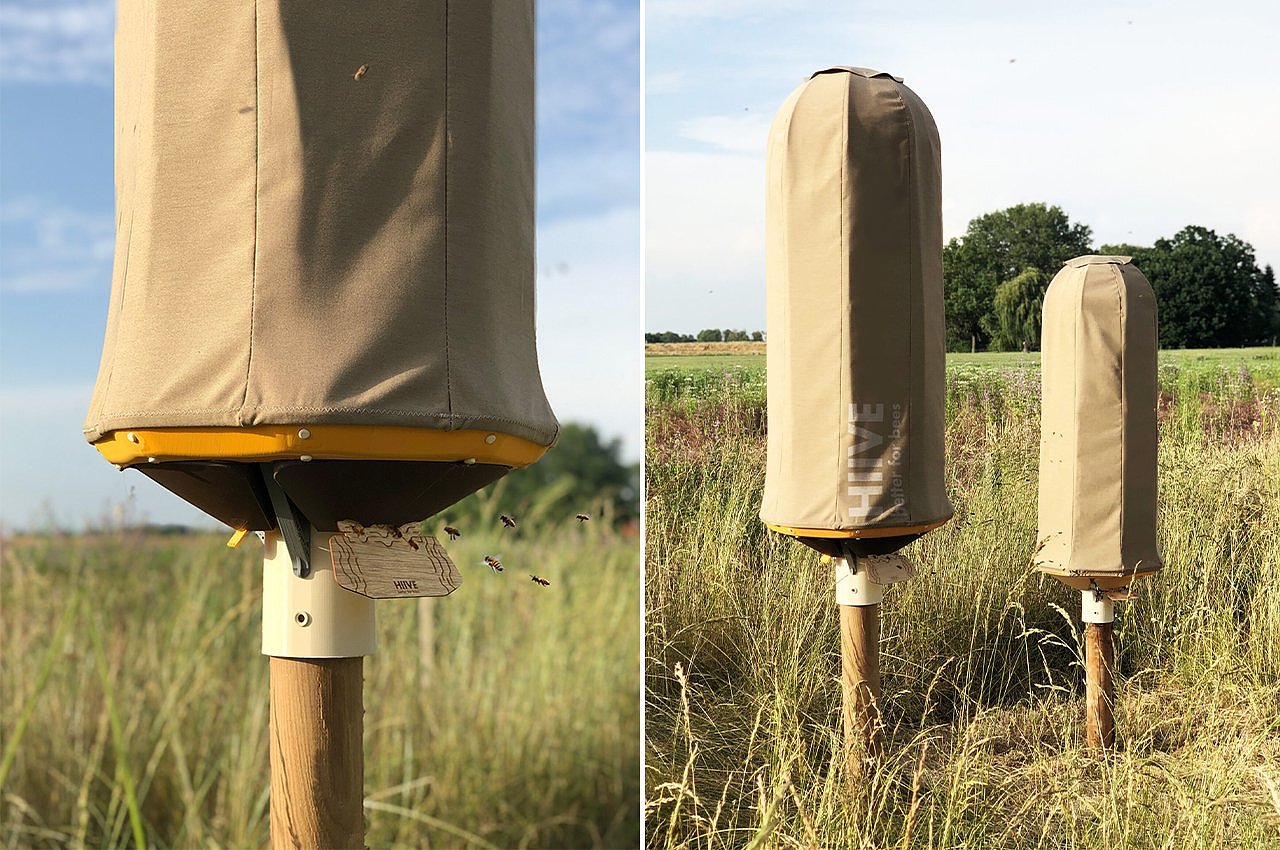 Sustainable hive design，Green design，Sustainable design，