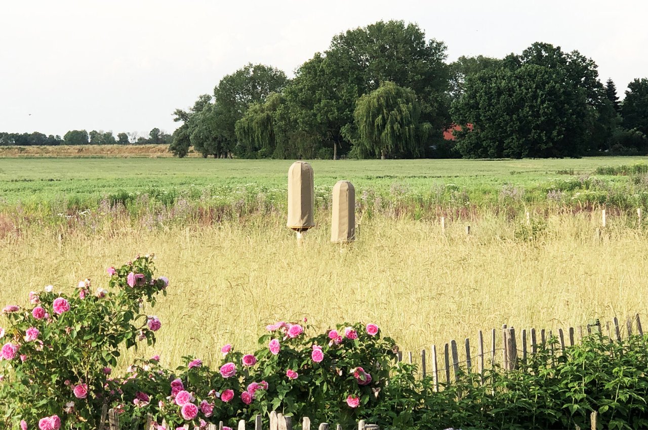 Sustainable hive design，Green design，Sustainable design，