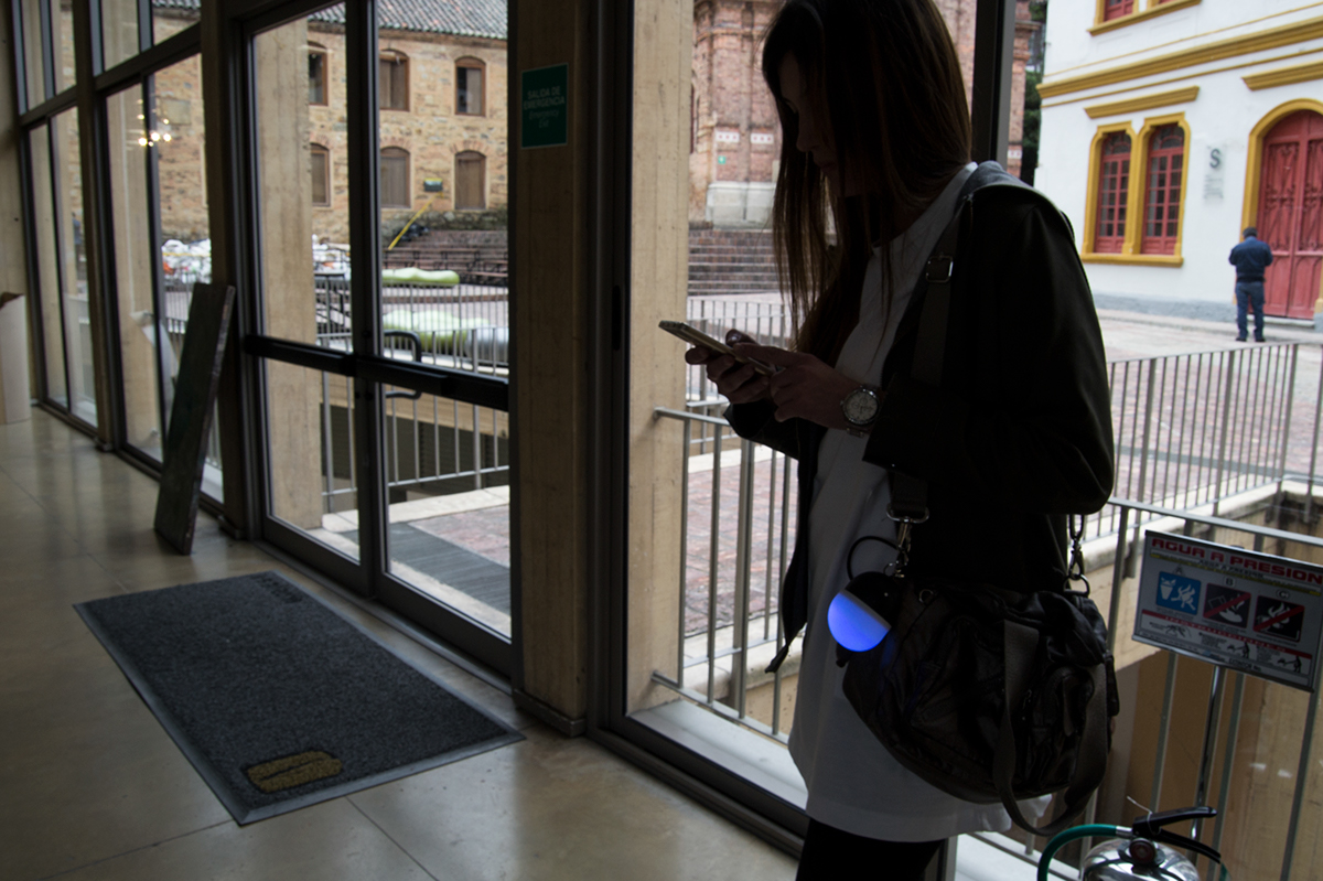 dried food，data，Home Furnishing，share，lamps and lanterns，