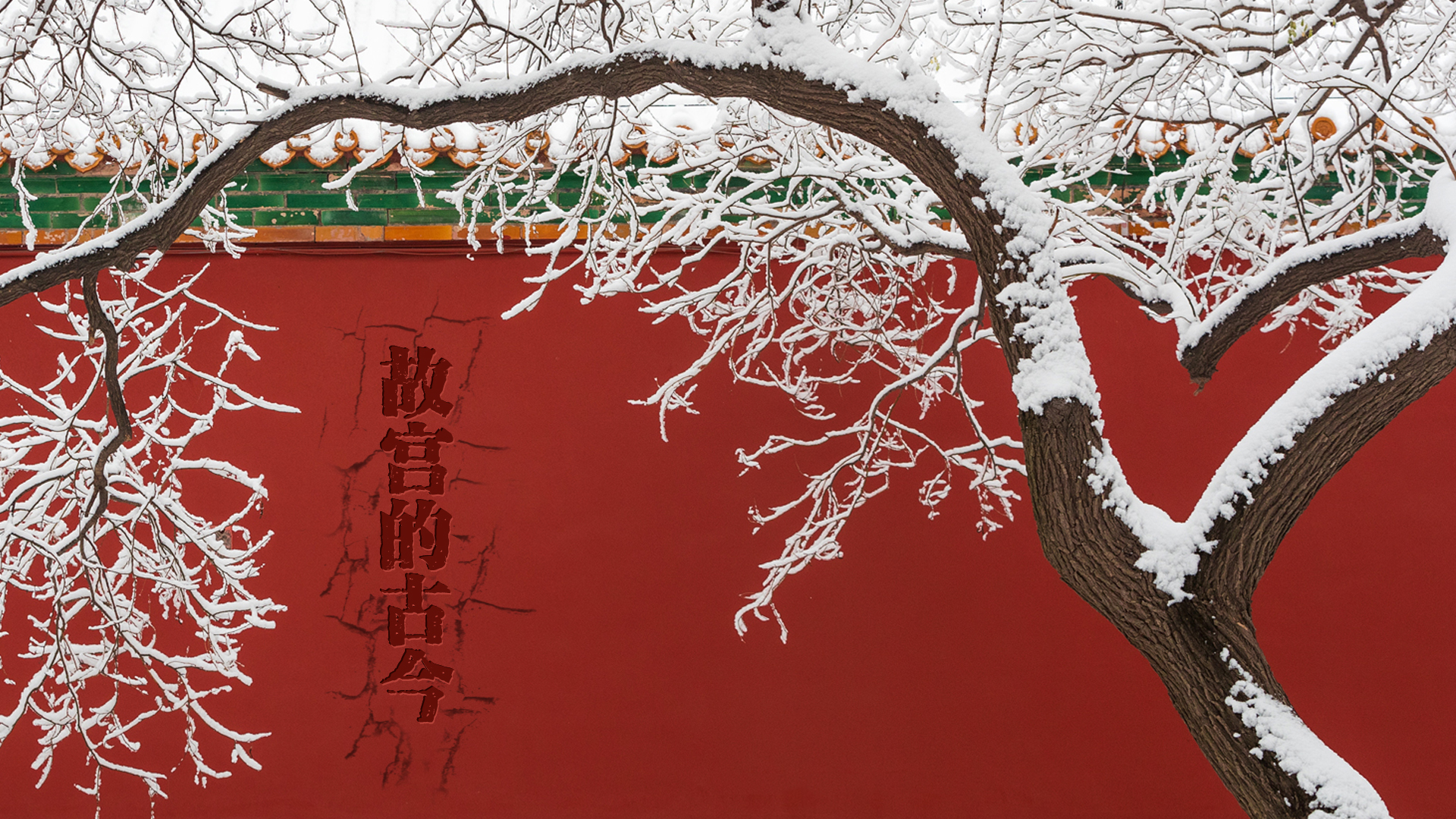 ae，the Imperial Palace，color，