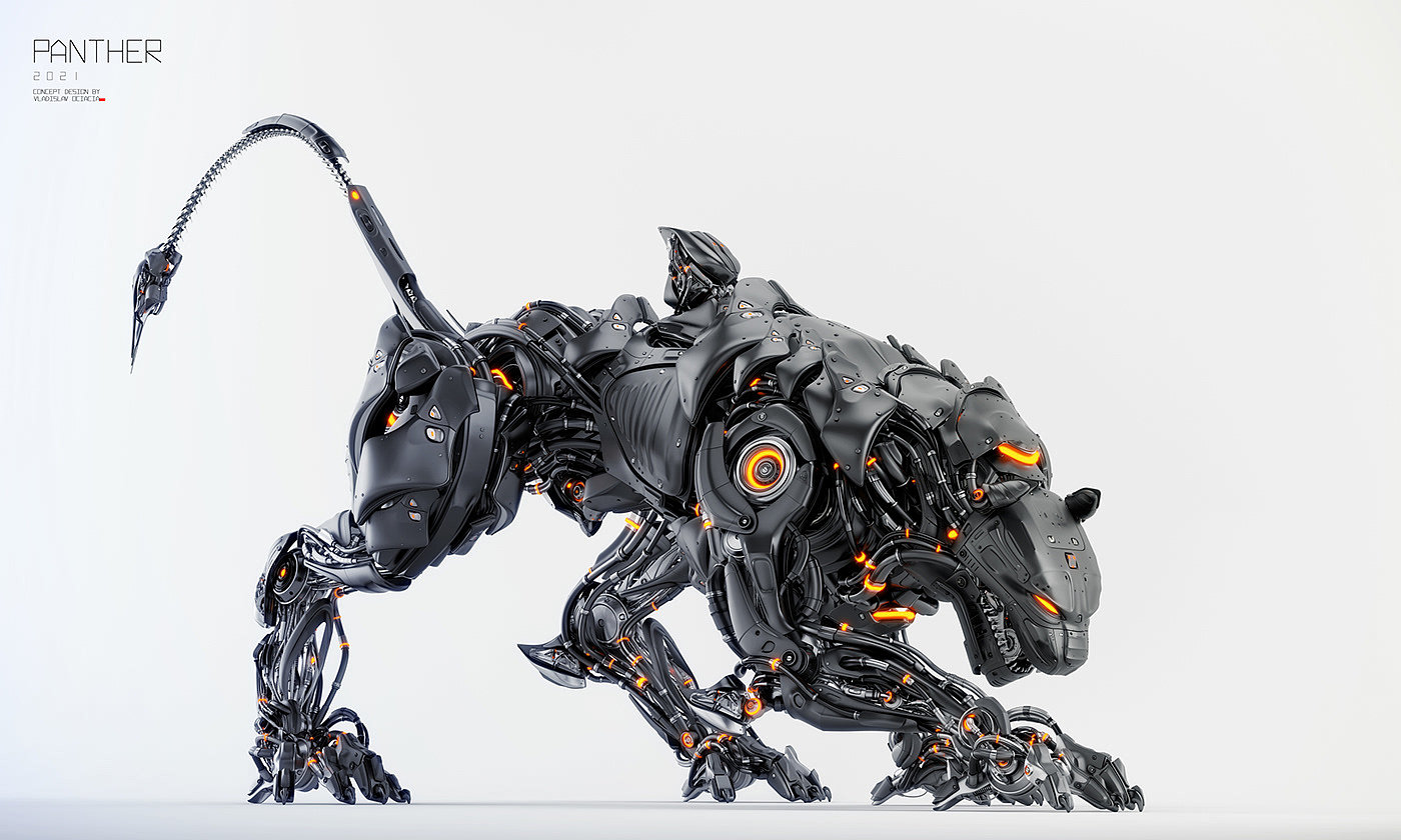 panther，Model，Vladislav Ociacia，