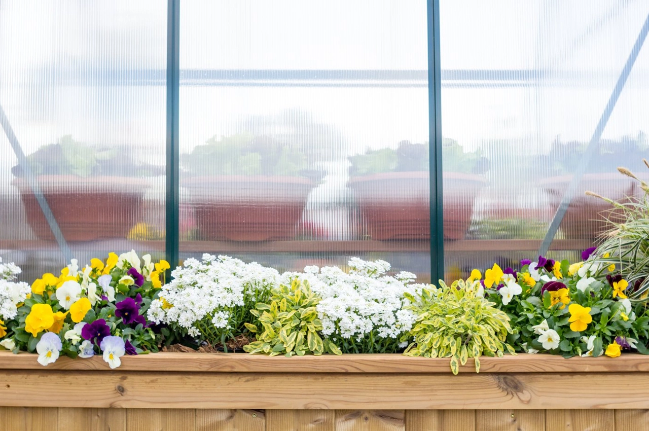 Elsa，Small house，Natural and simple，swing，