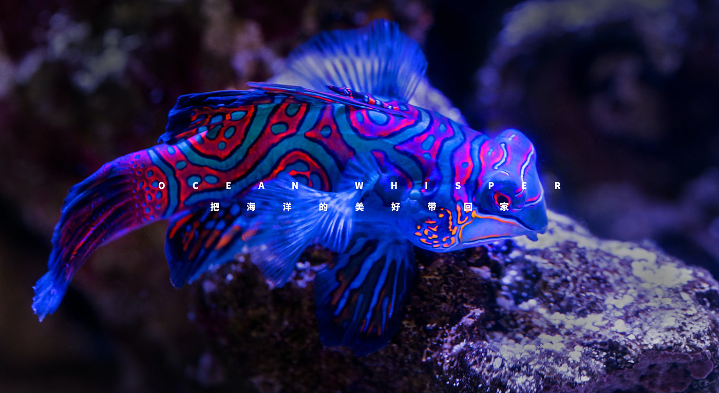 Sea tank，