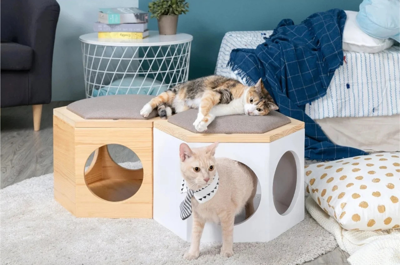 furniture design ，Cat chair，cat-chair，