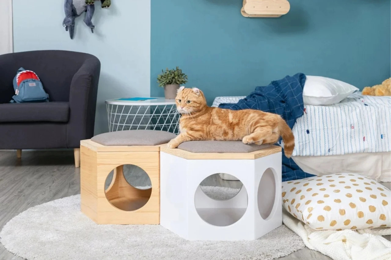 furniture design ，Cat chair，cat-chair，