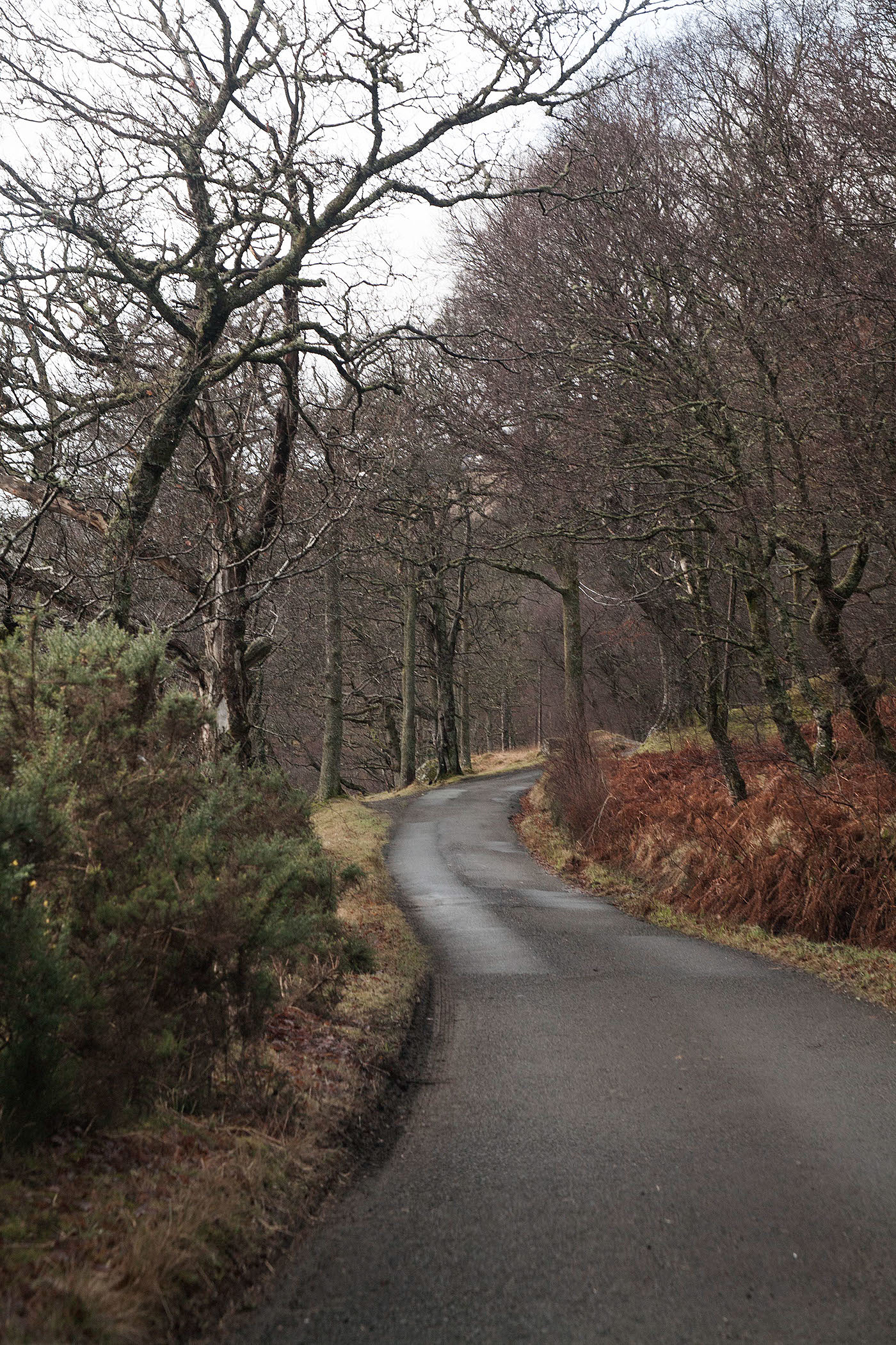 lantern，inspiration，Portable lamp，Monachyles，Scotland，