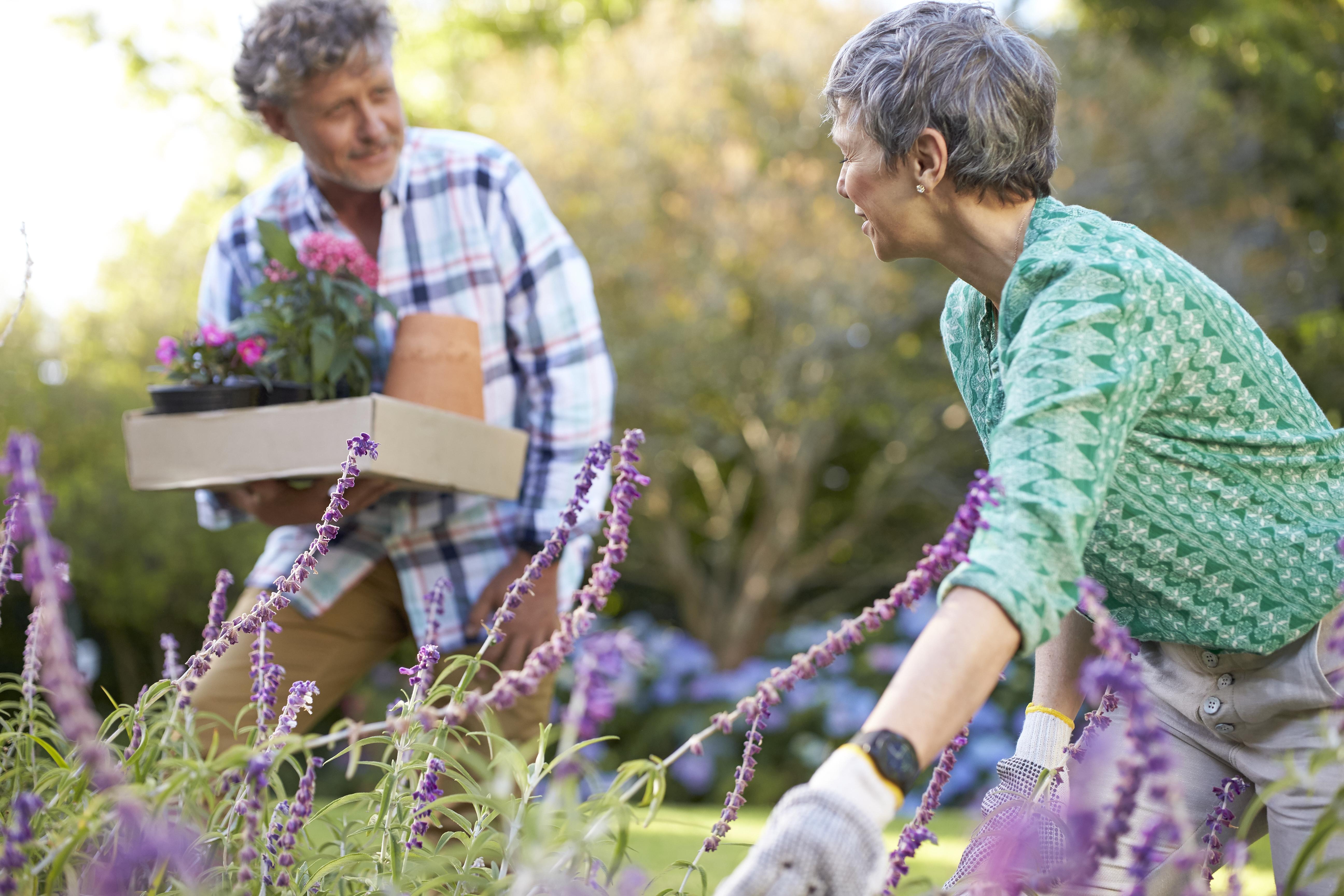 Philips，Wrist watch，healthy，monitor，