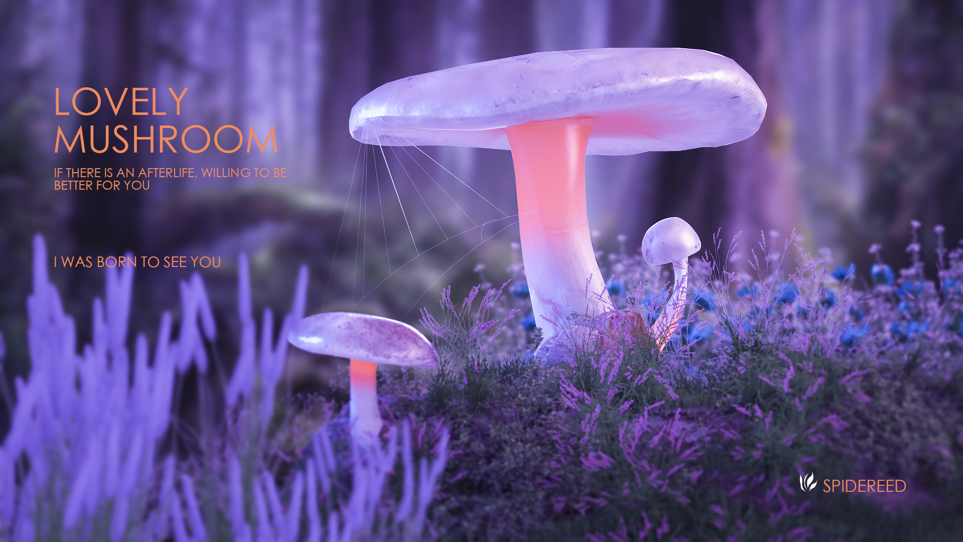 Self taught C4d, OC rendering，