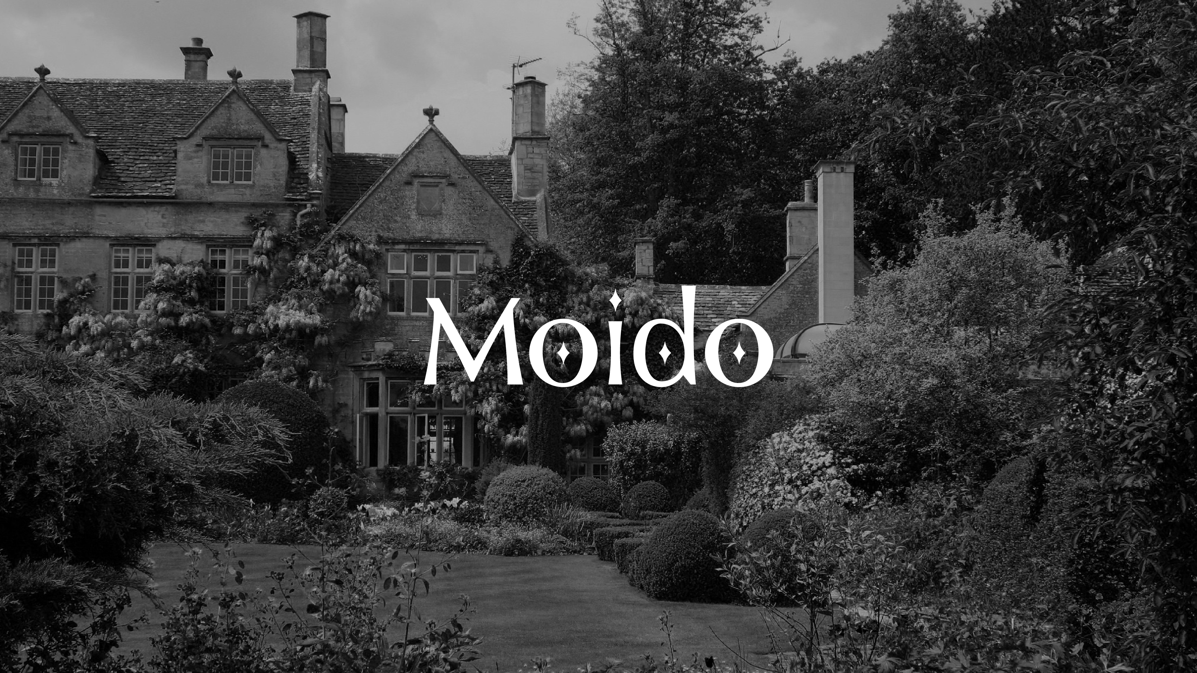 Brand design，Brand strategy，Logo design，VI design，product design，Back wave design，