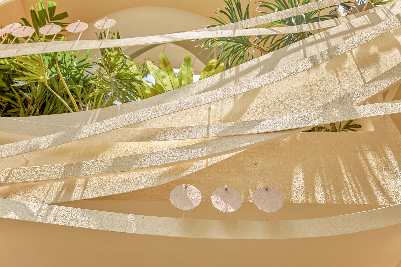 Bench，autumn，Bird's nest，