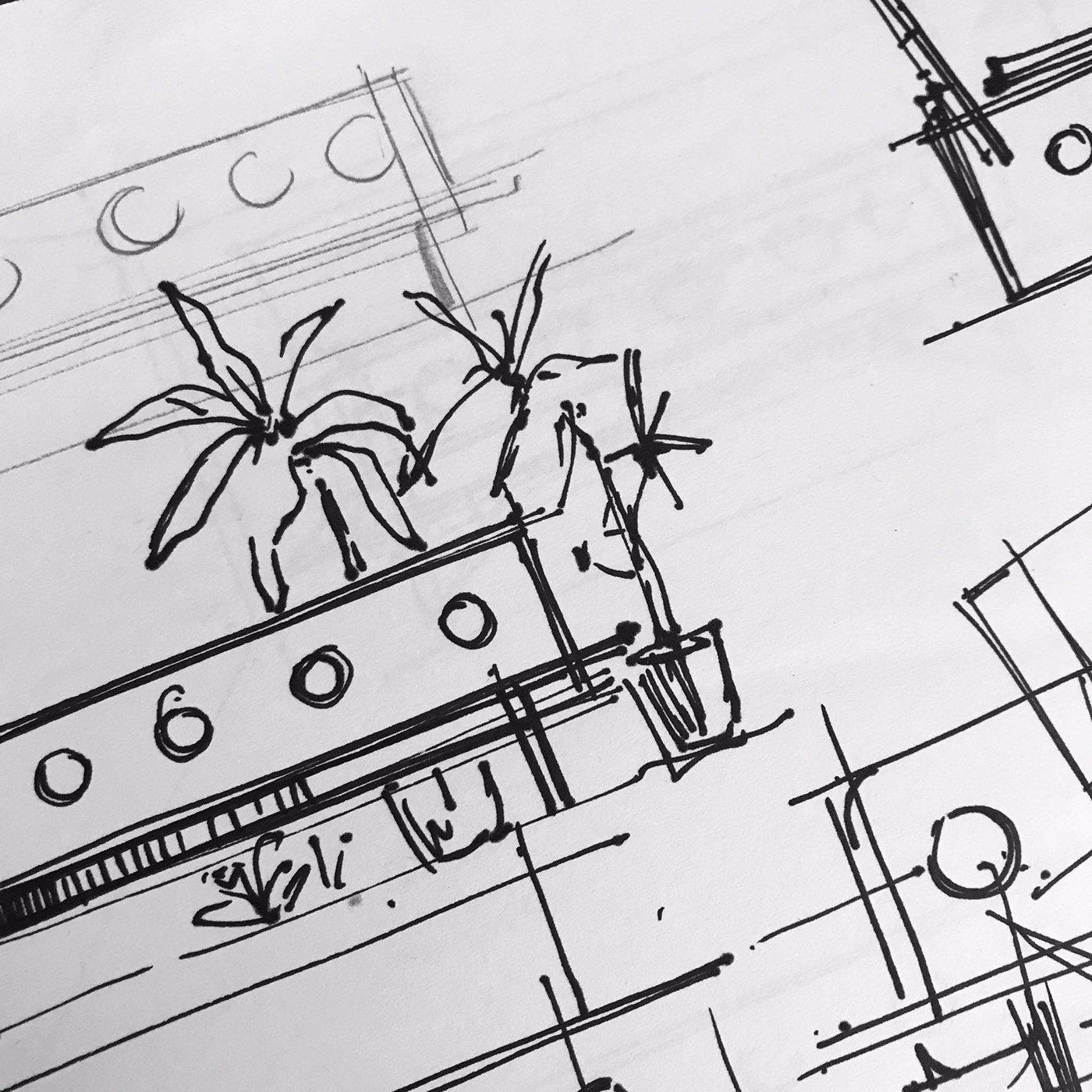 Bench，autumn，Bird's nest，