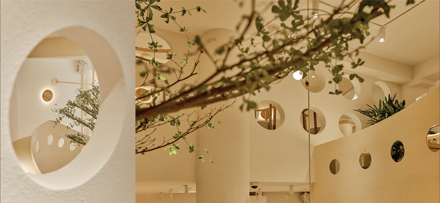 Bench，autumn，Bird's nest，